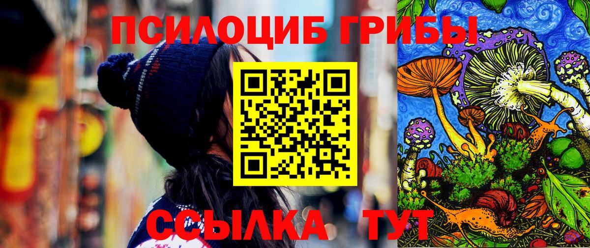 Бийск  где найти наркотики  Вход с VPN  Галлюциногенные грибы Psilocybe 