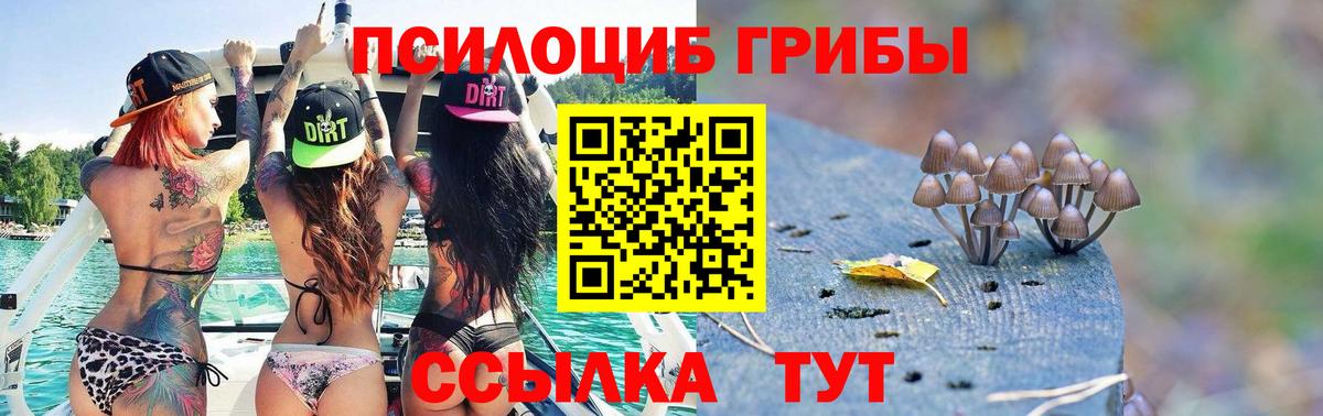 Галлюциногенные грибы Magic Shrooms Бийск